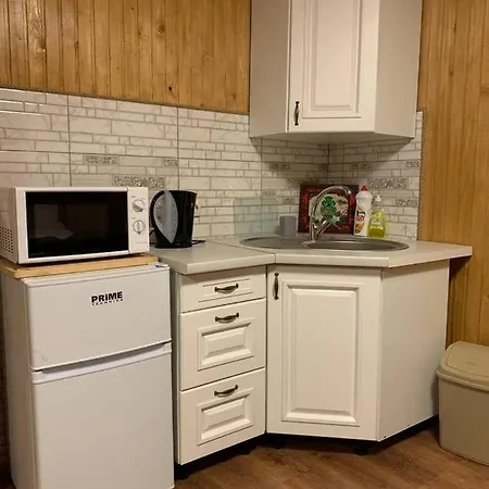 Apartment затишна Vorokhta