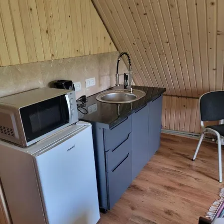Apartment затишна Vorokhta