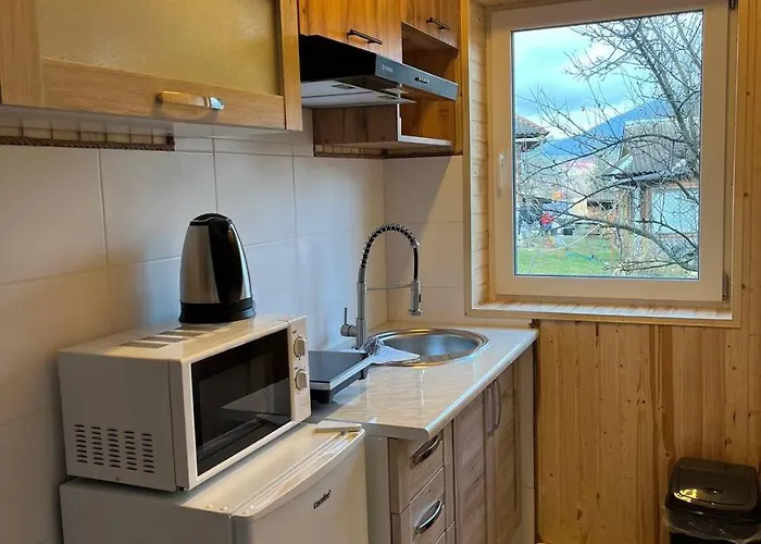 затишна Apartment Vorokhta