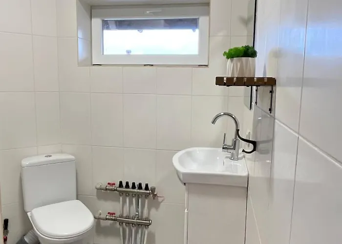 Apartment затишна Vorokhta