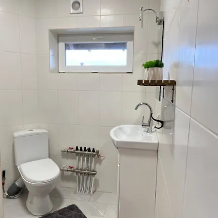 Appartement затишна Vorochta